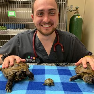 Meet your Posher, Patrick